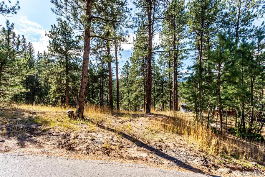 27406 Mountain Park Road, Evergreen, CO 80439 - #3