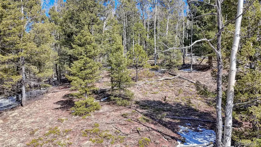 542 Vivenda Road, Cripple Creek, CO 80813 - #3