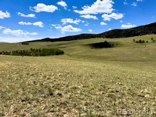 25 Sulky Court, Hartsel, CO 80449