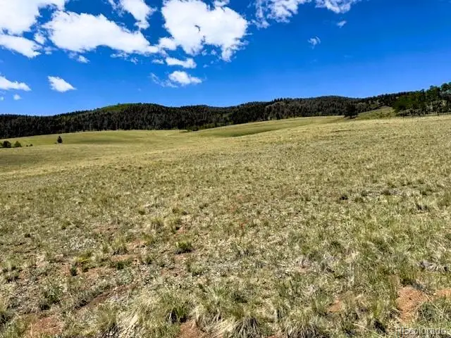 25 Sulky Court, Hartsel, CO 80449 - #2