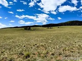 25 Sulky Court, Hartsel, CO 80449 - #3