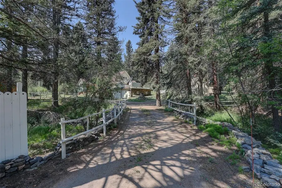28942 Shadow Mountain Drive, Conifer, CO 80433 - #2