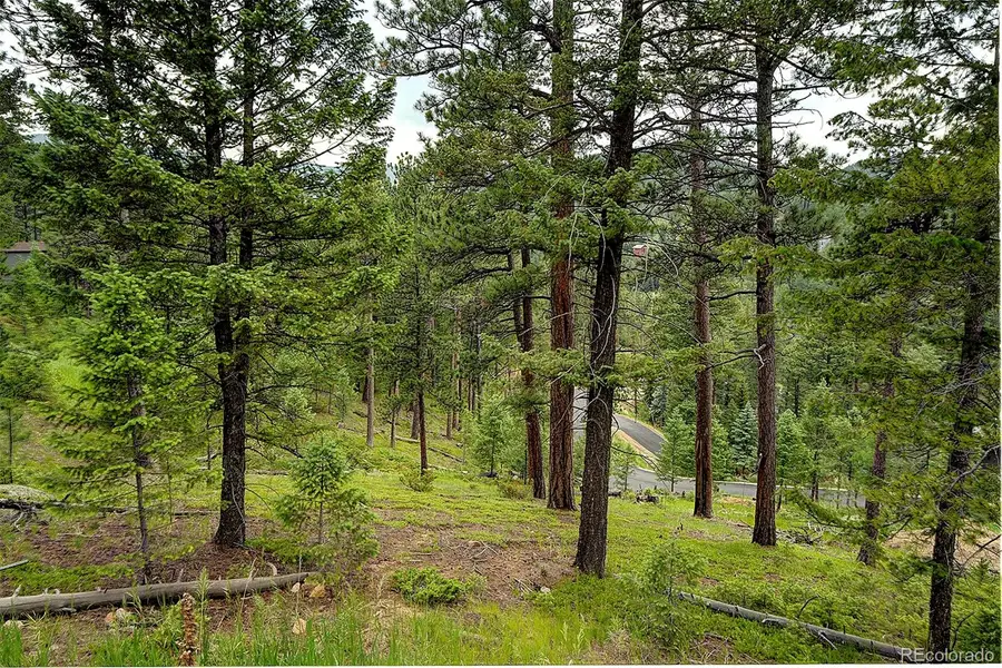 6875 Lynx Lair Road, Evergreen, CO 80439 - #2