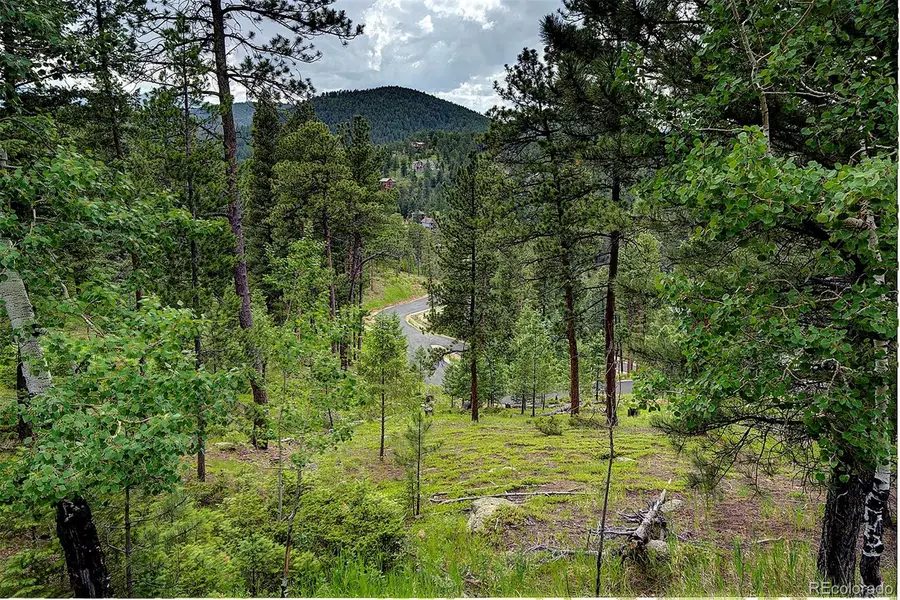 6875 Lynx Lair Road, Evergreen, CO 80439 - #3