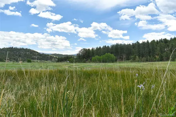 729 Valley Drive, Guffey, CO 80820