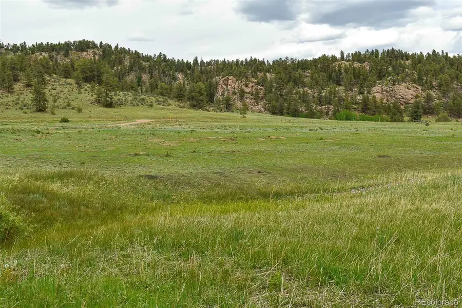 729 Valley, Guffey, CO 80820 - #2