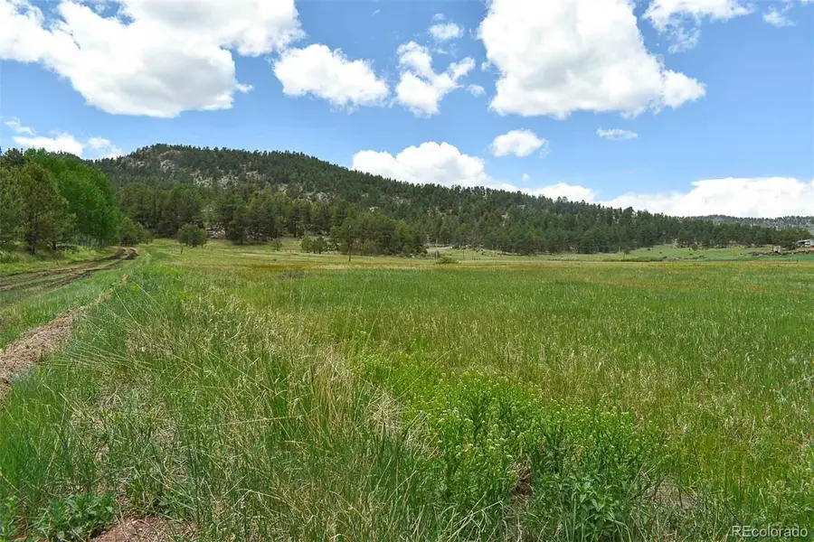 729 Valley, Guffey, CO 80820 - #3