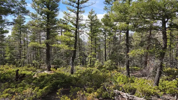 Lot 6070 Vreeland Road, San Luis, CO 81152