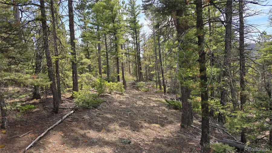 Lot 6070 Vreeland Road, San Luis, CO 81152 - #2