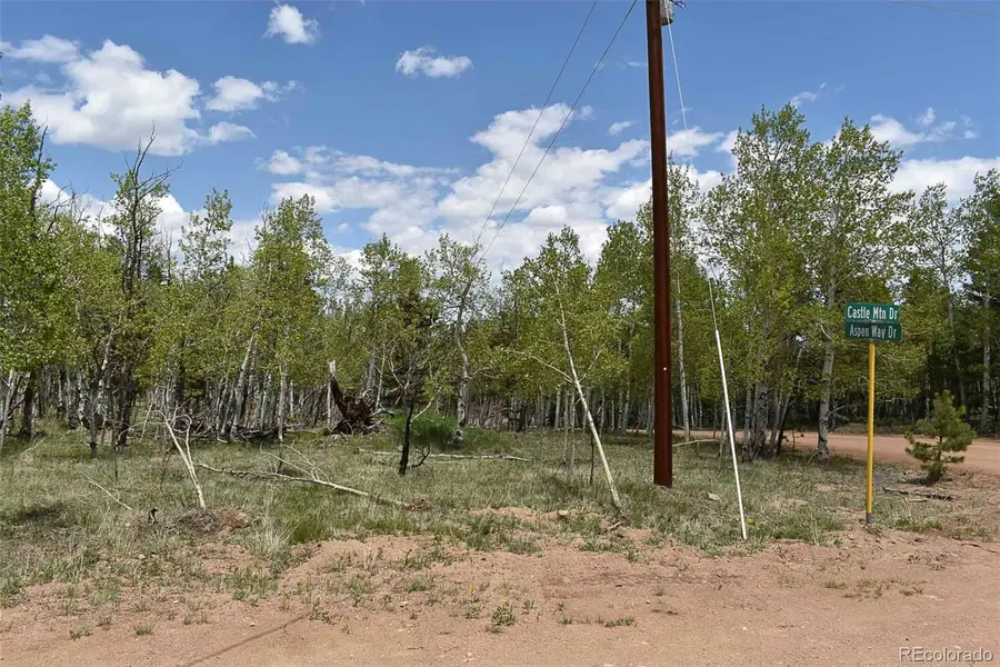 55 Aspen Way Drive, Guffey, CO 80820 - Image #3