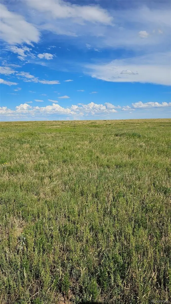 37855 Shear Road, Yoder, CO 80864 - Image #1