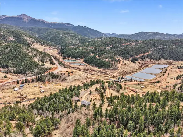 220 Rocky Mountain View, Divide, CO 80814