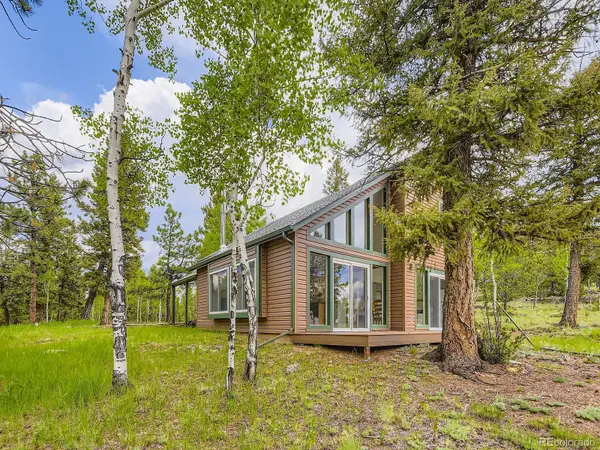52 Branding Iron Lane, Bailey, CO 80421