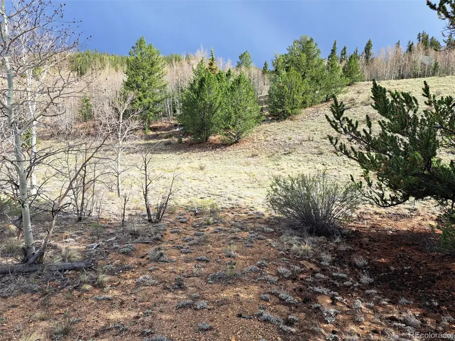 1411 Travois Road, Como, CO 80432 - #2