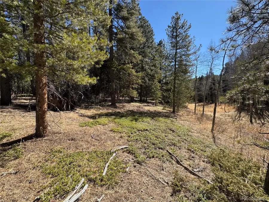 Lot 14X Wallace Avenue, Conifer, CO 80433 - #2