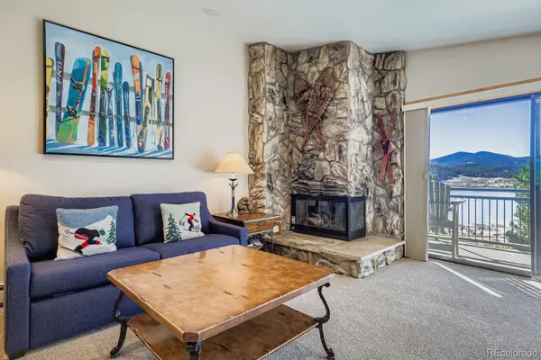 160 E La Bonte Street #306, Dillon, CO 80435