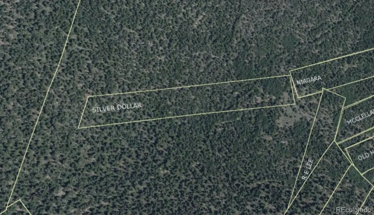 000 Silver Dollar Lode, Georgetown, CO 80444 - Image #1