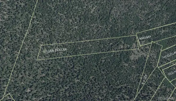 000 Silver Dollar Lode, Georgetown, CO 80444