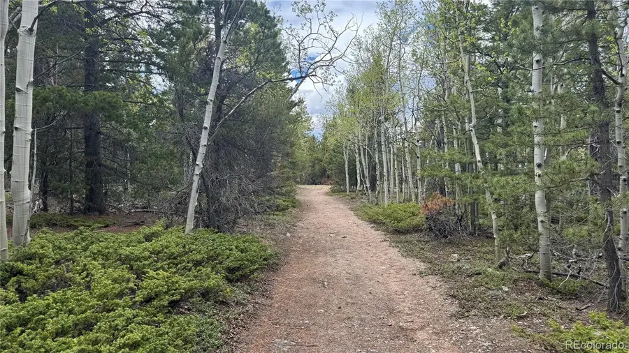 005 Roy Smith Road, Central City, CO 80427 - #2