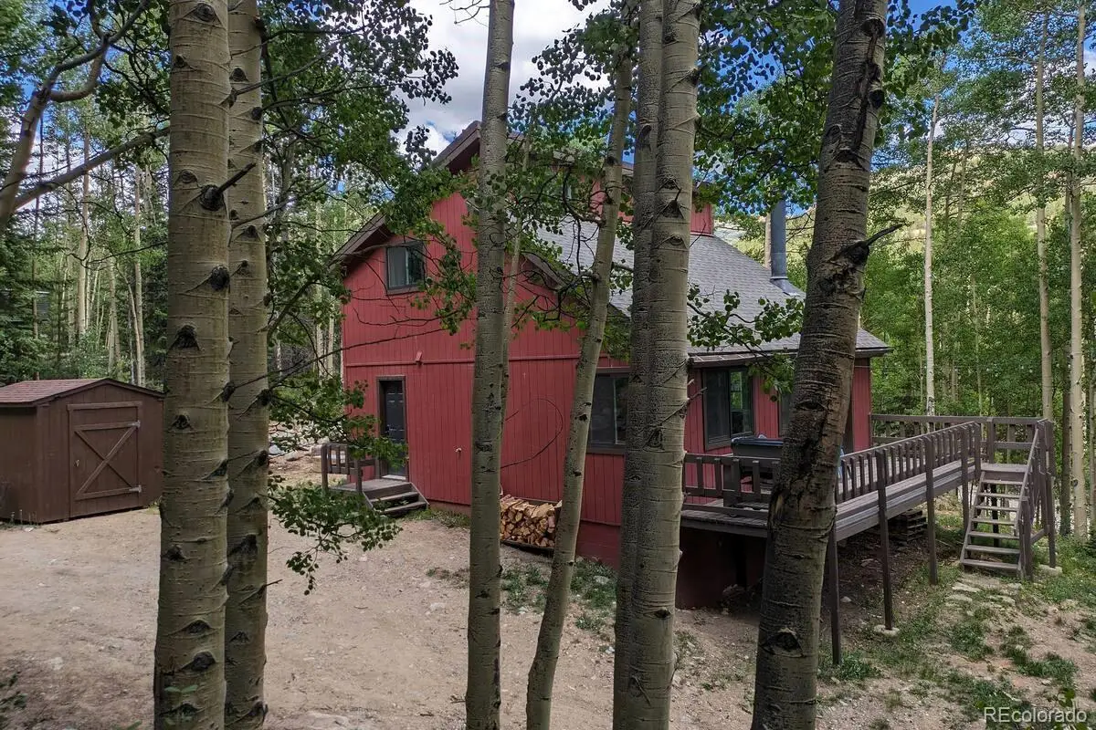 288 Roberts Road, Alma, CO 80420 - #1