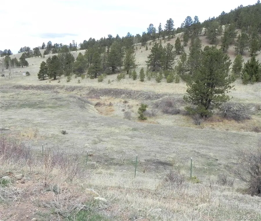 521 Monarch Drive, Cripple Creek, CO 80813 - #2