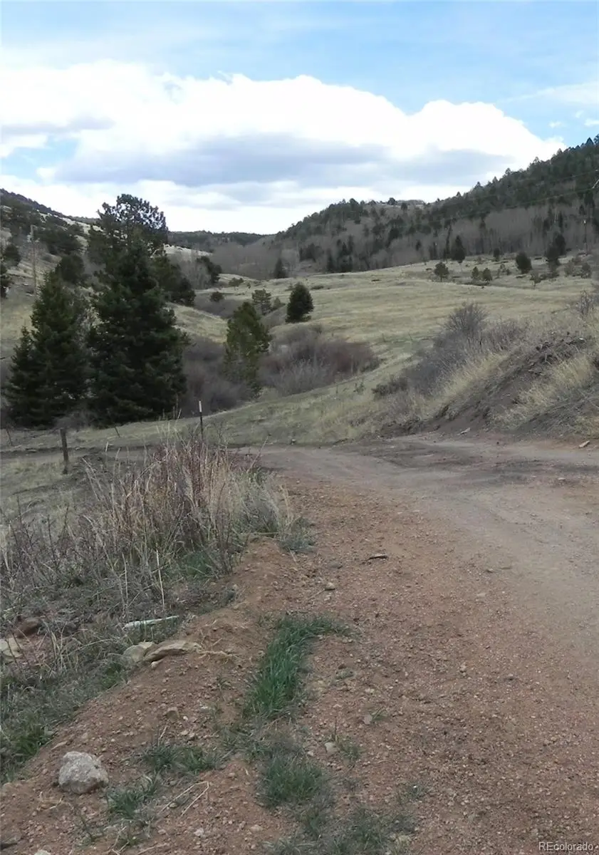 521 Monarch Drive, Cripple Creek, CO 80813 - #3