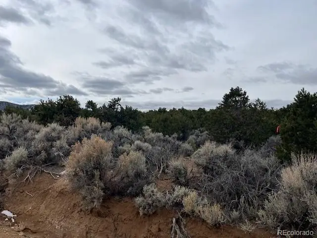 Lot 14 St. Timothy Road, Fort Garland, CO 81133 - #2