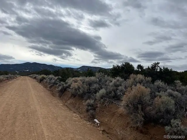 Lot 14 St. Timothy Road, Fort Garland, CO 81133 - #3