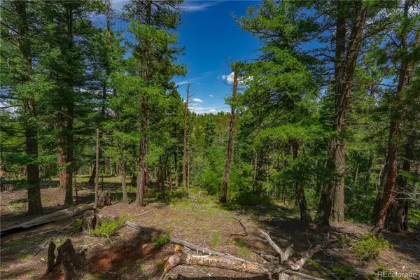 384 Insmont Lane, Florissant, CO 80816