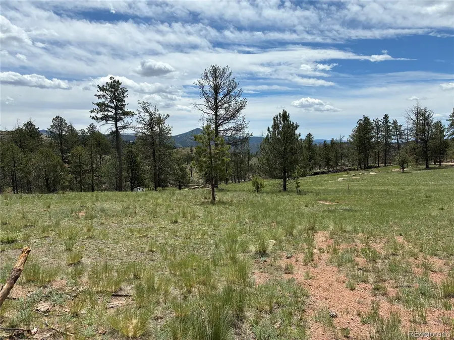 266 Chapparal Trail, Florissant, CO 80816 - #2