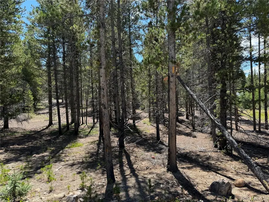 334 Baby Doe Drive, Leadville, CO 80461 - #2