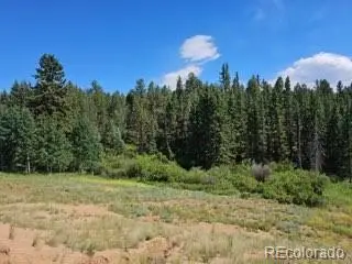 1164 Arapahoe Creek Trail, Florissant, CO 80816 - #2