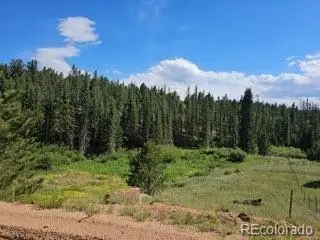 1164 Arapahoe Creek Trail, Florissant, CO 80816 - #3