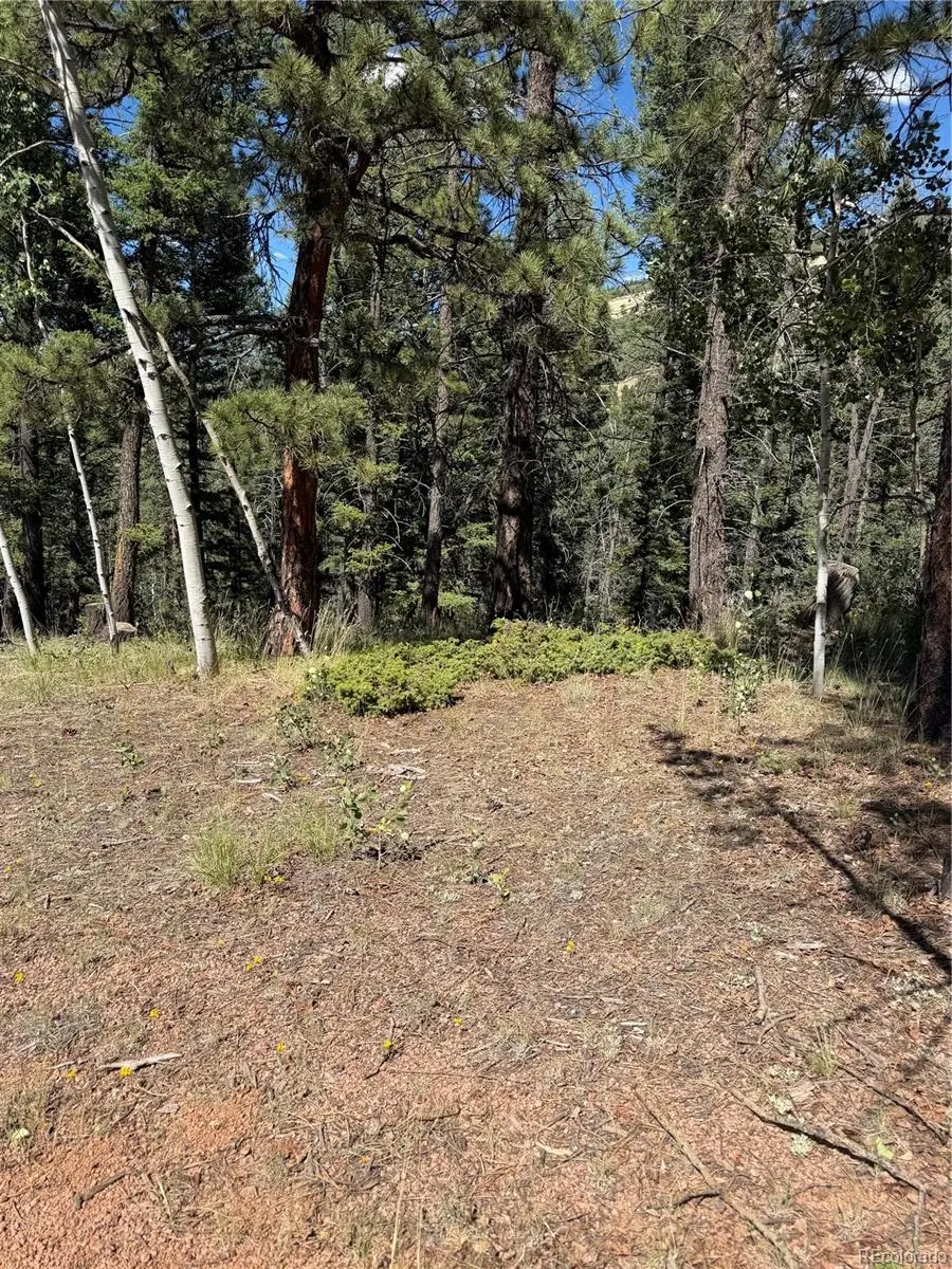 1007 Derby, Cripple Creek, CO 80813 - #1