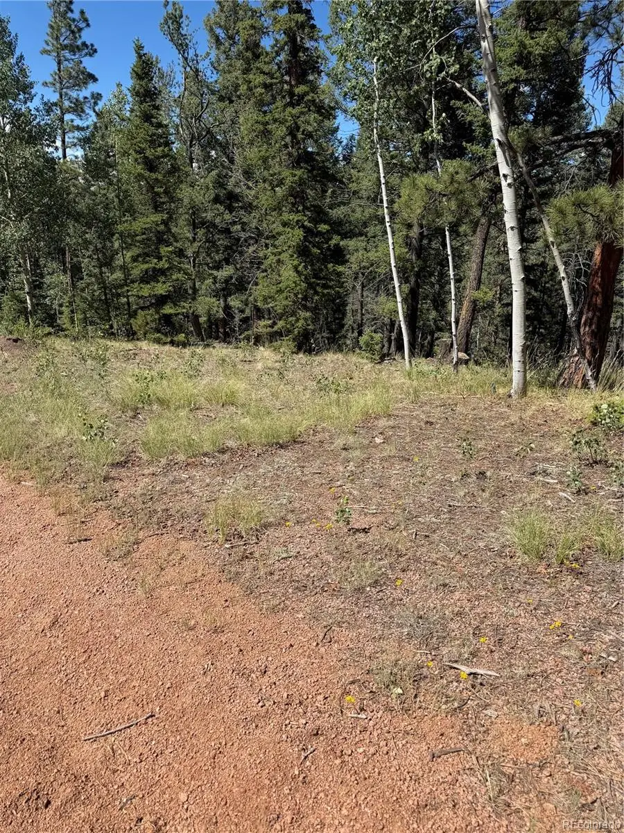 1007 Derby, Cripple Creek, CO 80813 - #2