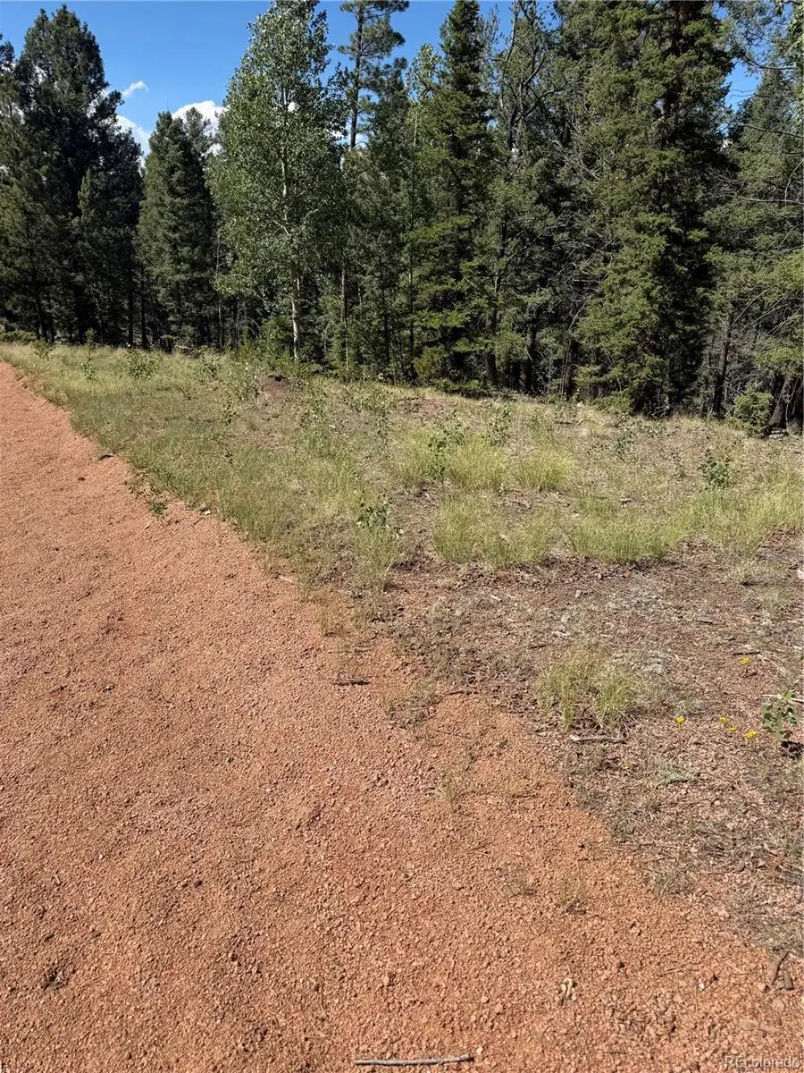 1007 Derby, Cripple Creek, CO 80813 - #3