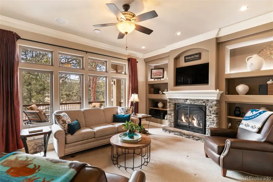 1484 Masters Drive, Woodland Park, CO 80863 - #3