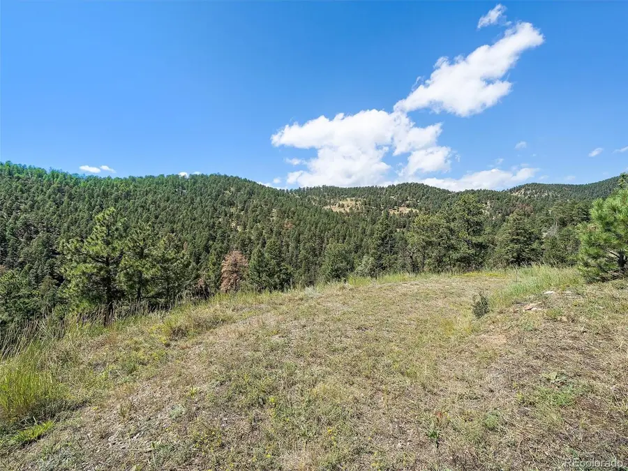 13809 Elsie Road, Conifer, CO 80433 - Image #3