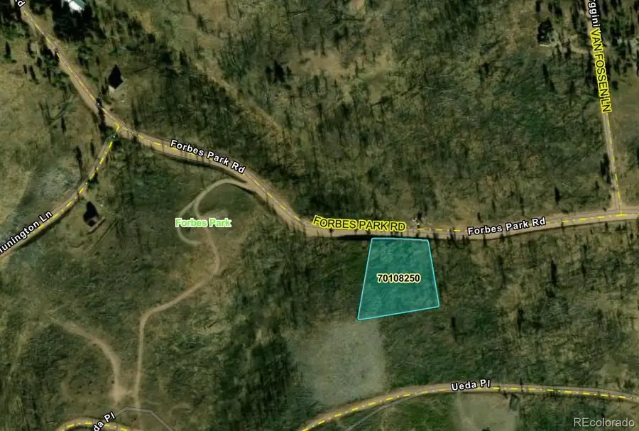 914 Forbes Park Road, Fort Garland, CO 81133 - #2