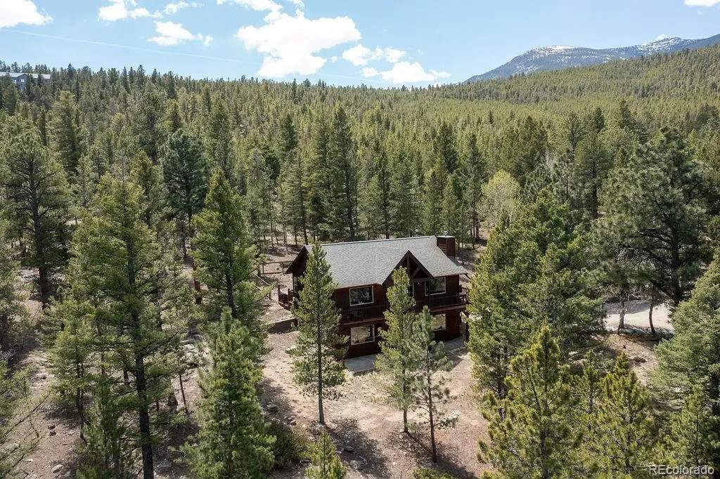30433 National Forest Drive, Buena Vista, CO 81211 - #1