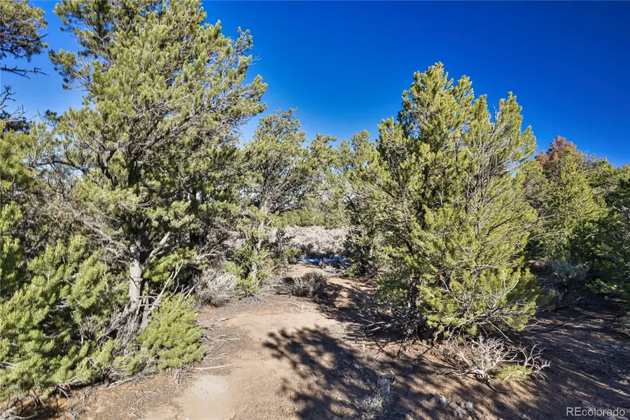 Creelman Drive, Fort Garland, CO 81133 - Image #3