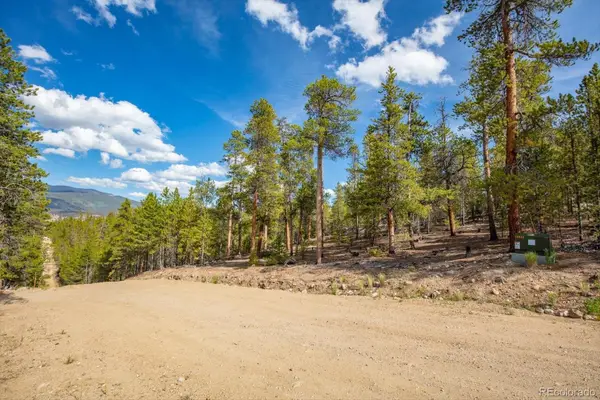 198 Lodgepole, Twin Lakes, CO 81251