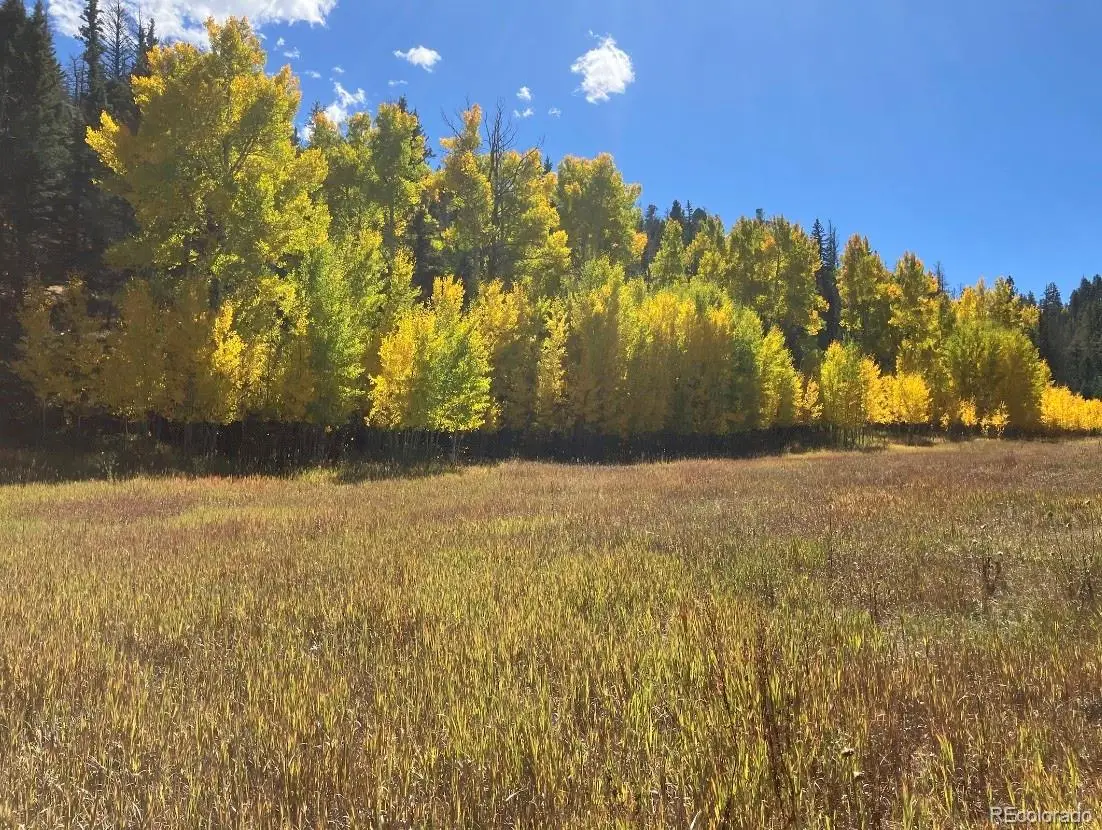 Lot 1 Co Rd 358, Westcliffe, CO 81252 - #1