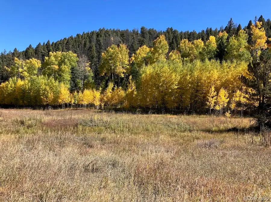 Lot 1 Co Rd 358, Westcliffe, CO 81252 - #3