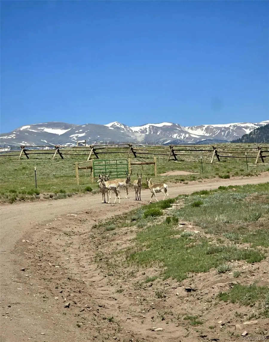 5675 Antero Drive, Fairplay, CO 80440 - Image #2