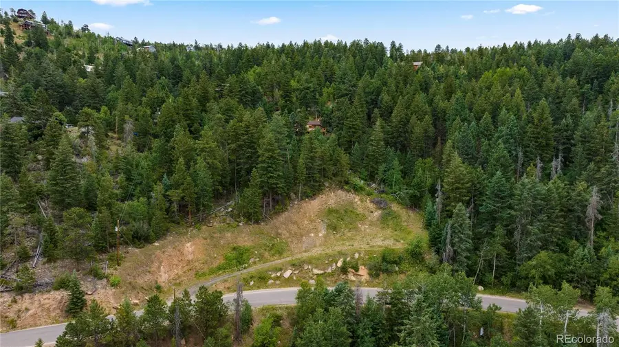 10126 Crest View Drive, Morrison, CO 80465 - Image #3