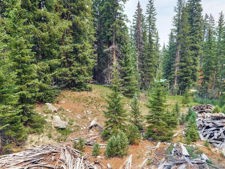 757 Cr 674, Breckenridge, CO 80424 - #3