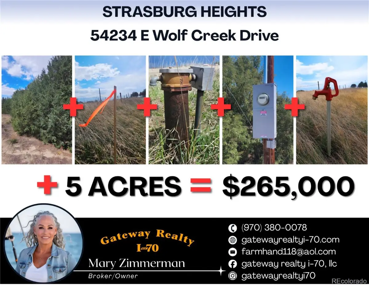54234 E Wolf Creek Drive, Strasburg, CO 80136 - #1