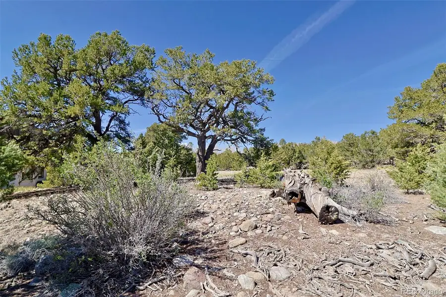 3921 Cordial Way, Crestone, CO 81131 - #3