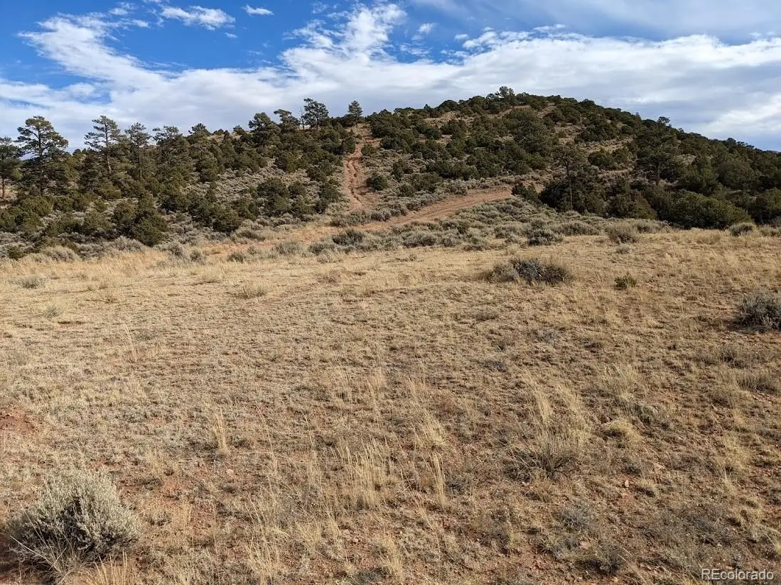 4389 Beekman Road, Fort Garland, CO 81133 - #1